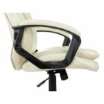 Кресло офисное BRABIX PREMIUM "Omega EX-589", экокожа, бежевое, 532095 — арт. SAMSON-532095